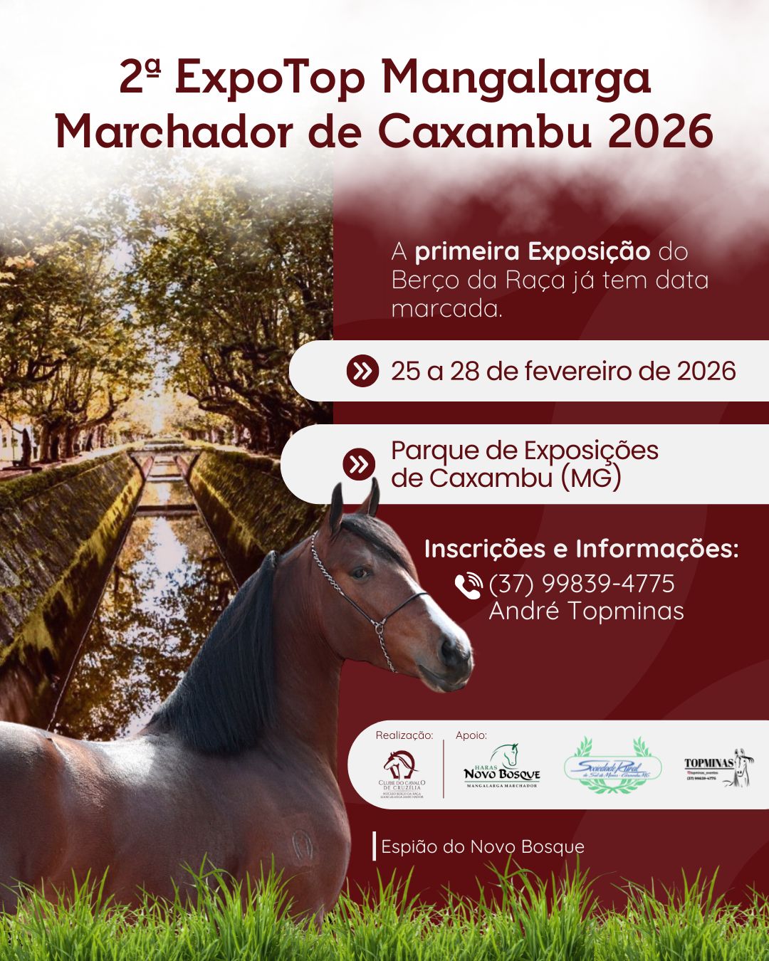 Expo Top Mangalarga Marchador
