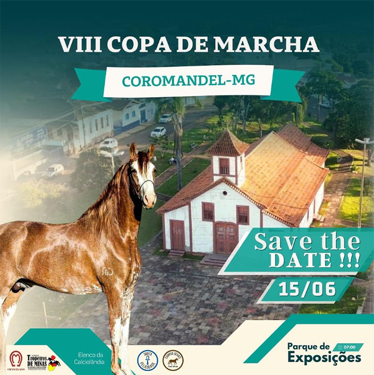 VIII Copa de Marcha em Coromandel (MG)