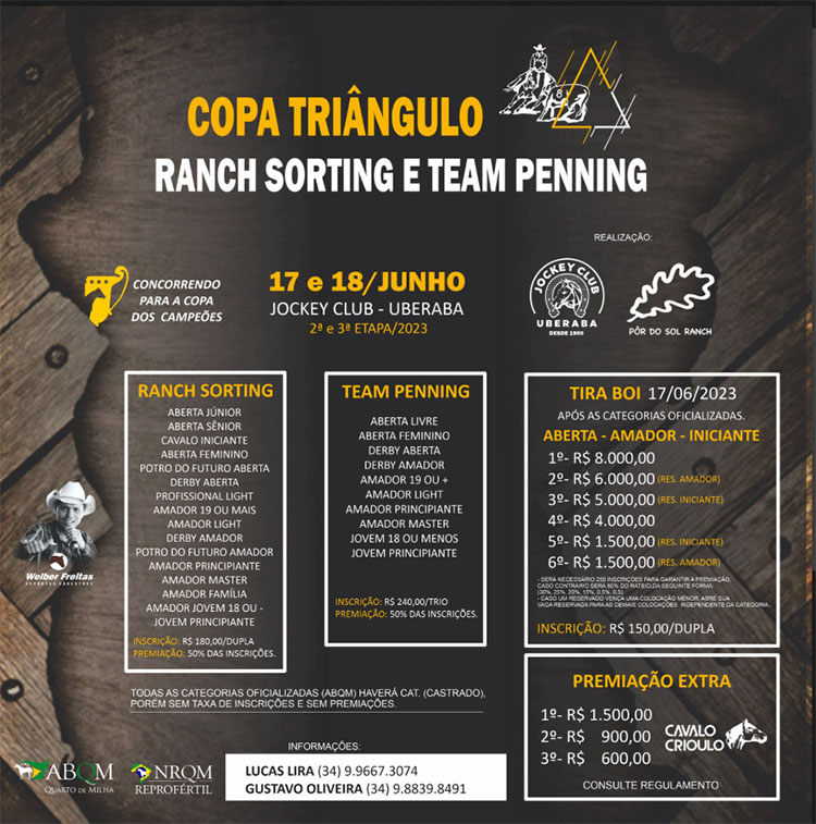 Copa Triangulo