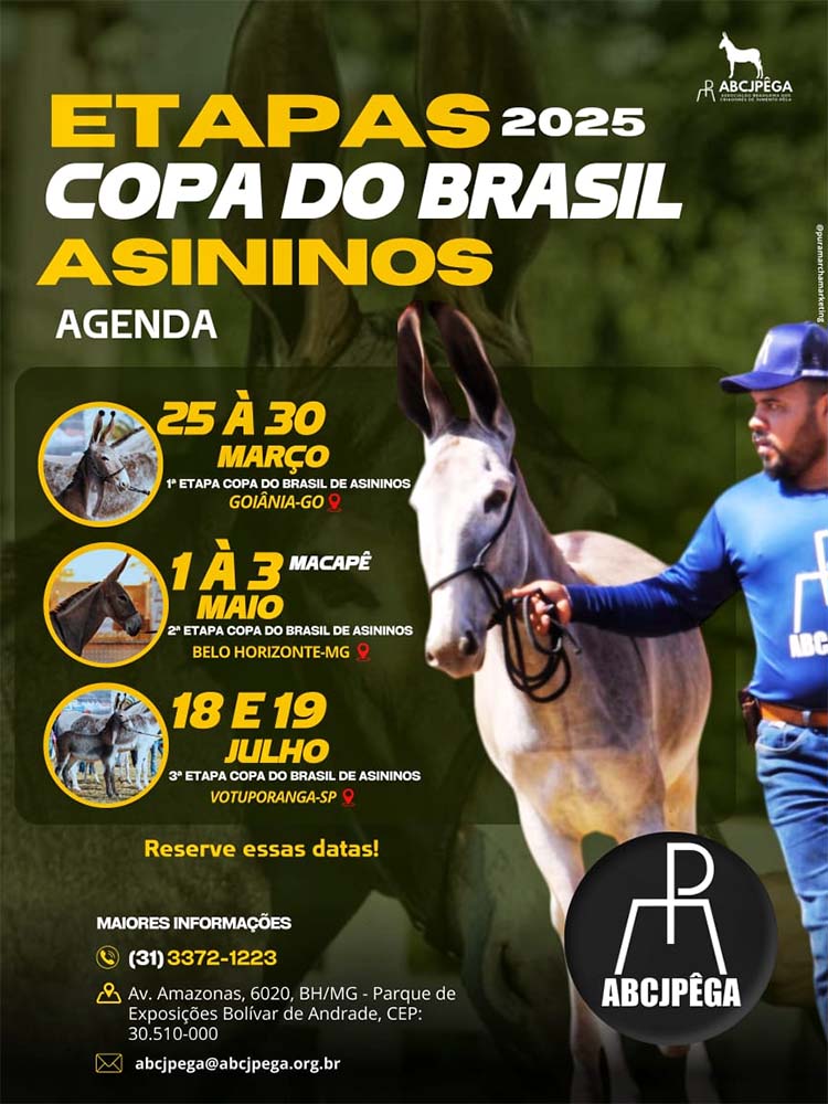 3ª Etapa da Copa do Brasil Asininos em Votuporanga (SP)