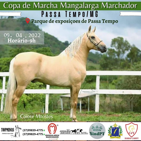 Copa de Marcha