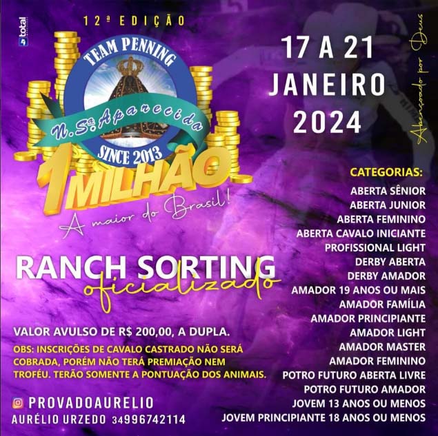 Prova Team Penning Nossa Senhora Aparecida em Barretos (SP)