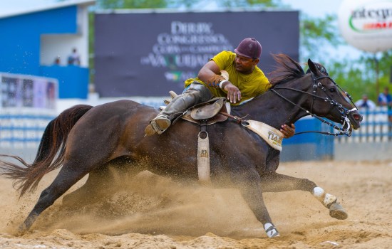 Vaquejada abqm