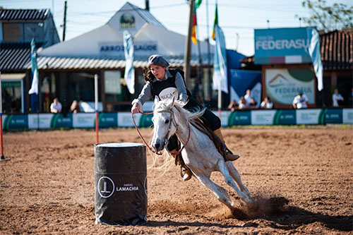 Cavalo Arabe na Expointer