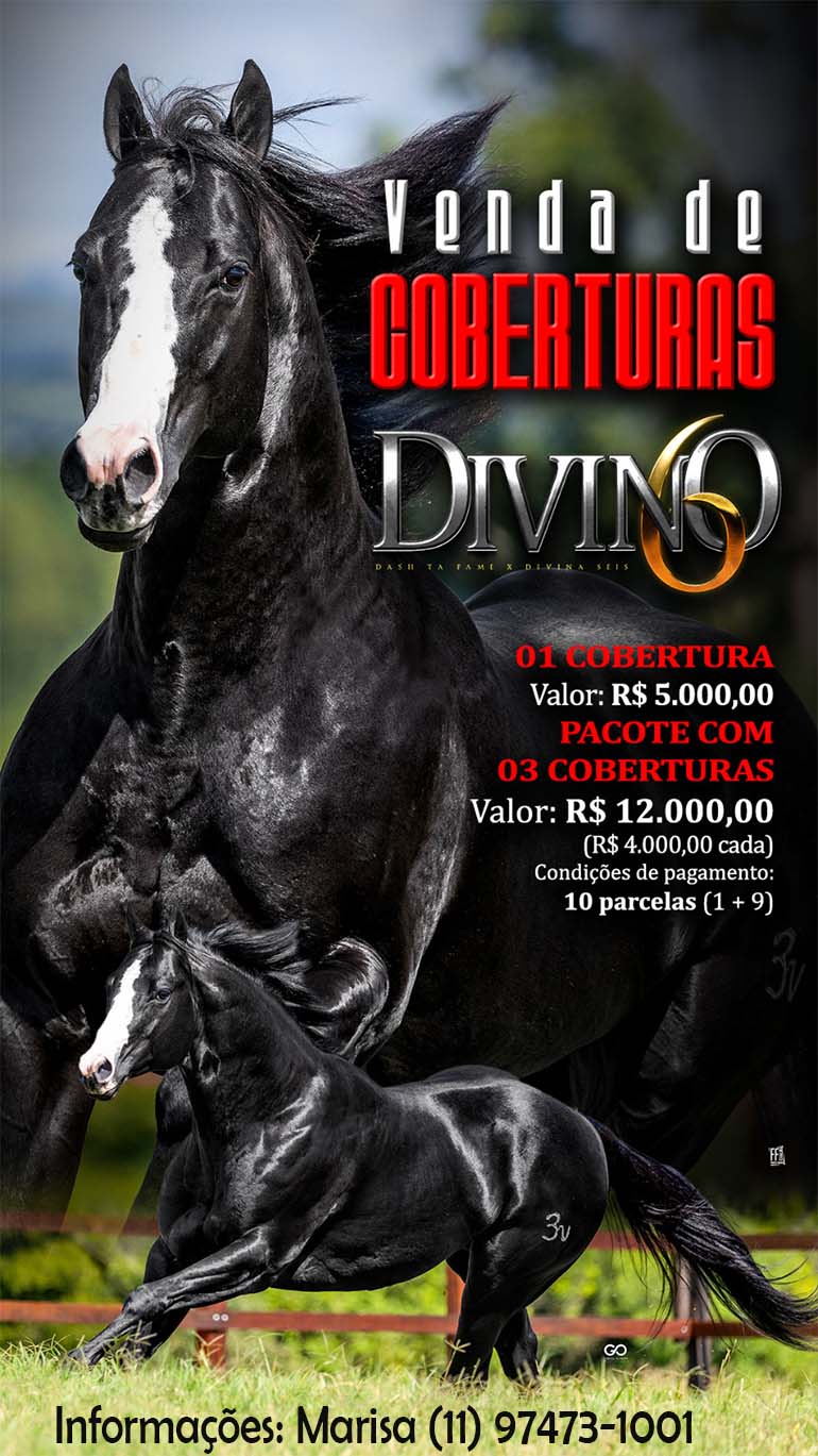 Divino 6