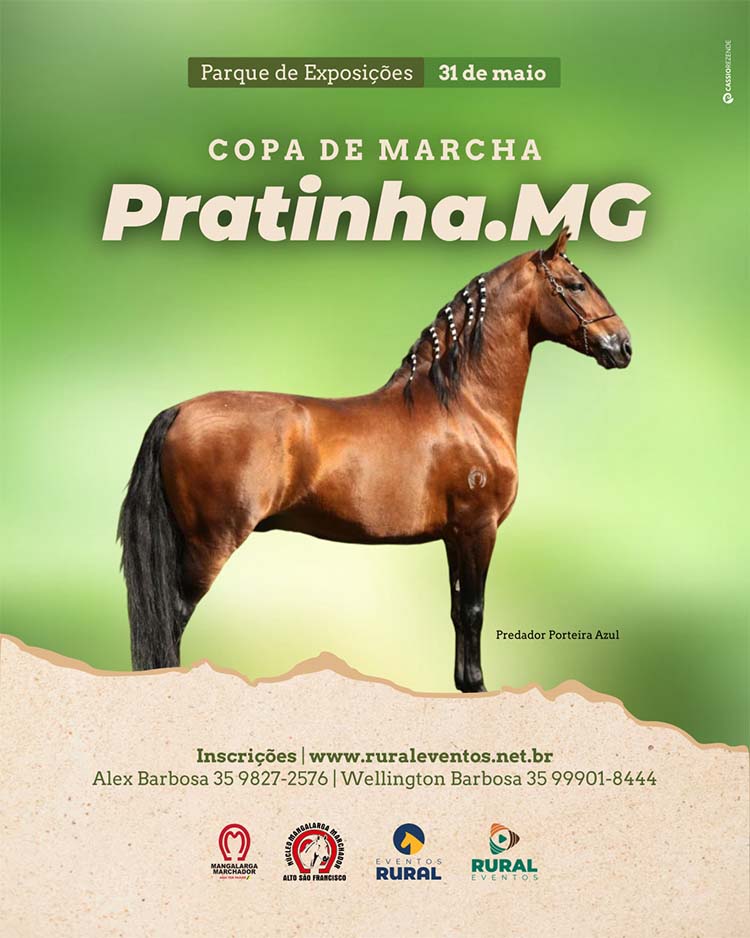 Copa de Marcha de Pratinha (MG)