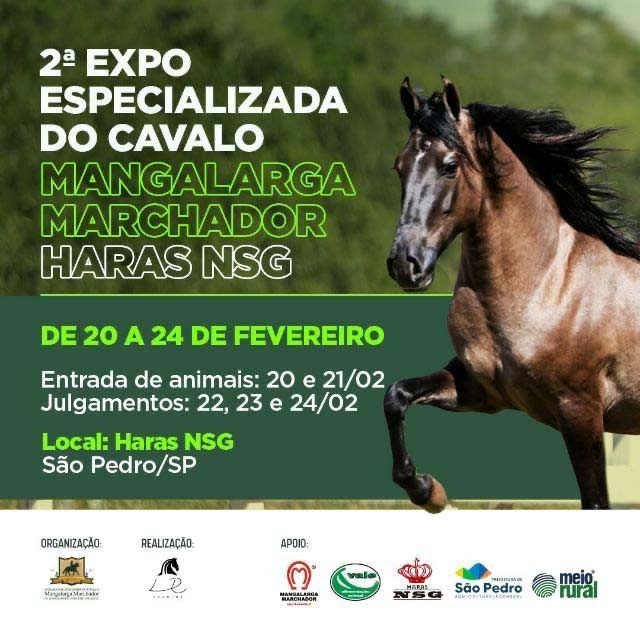 2ª Expo Especializada do Mangalarga Marchador em São Pedro (SP)