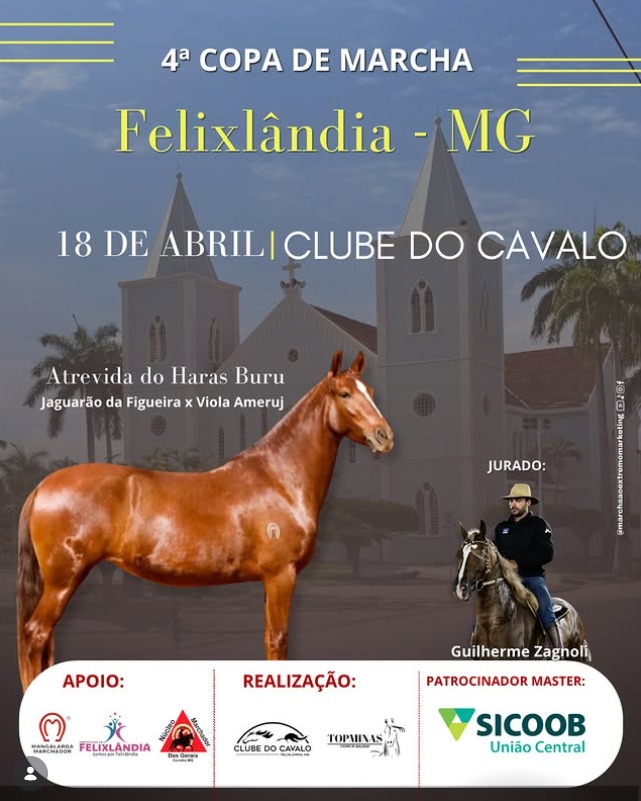 4ª Copa de Marcha do Cavalo Mangalarga Marchador!