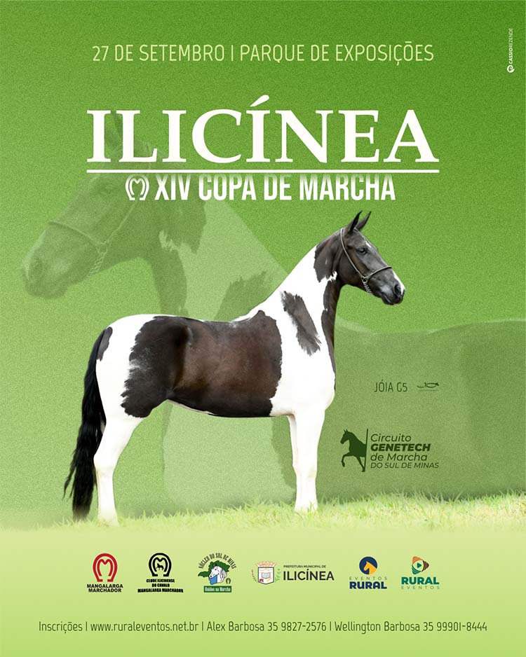 XIV Copa de Marcha de Ilicínea (MG)