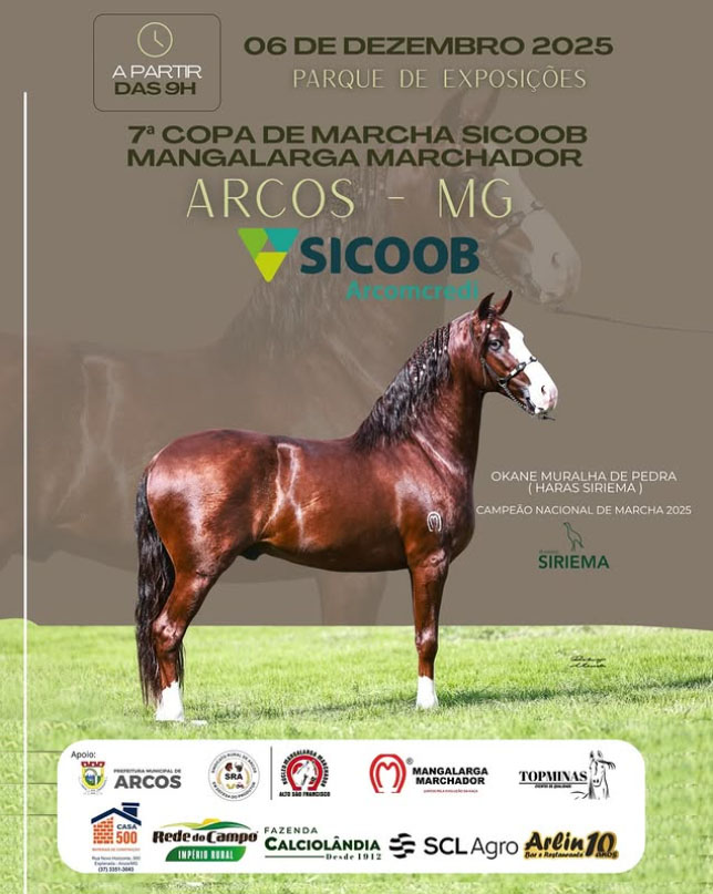Copa de Marcha SICOOB