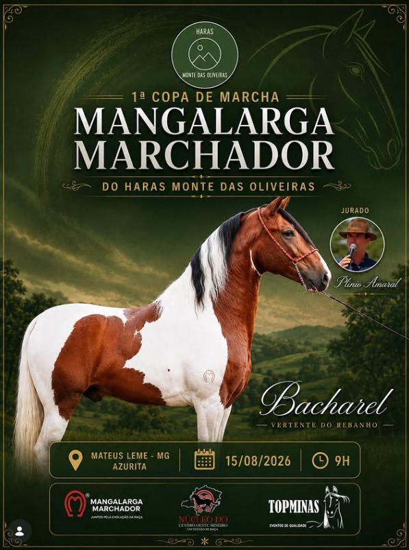 1º Copa de Marcha Mangalarga Marchador do Haras Monte das Oliveiras