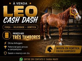 Leo Cash Dash