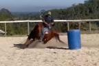 Nitro Trouble - cavalo quarto de milha treinado em três tambores 