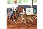 Gunner Starlight cavalo quarto de milha a venda no N1Cavalos
