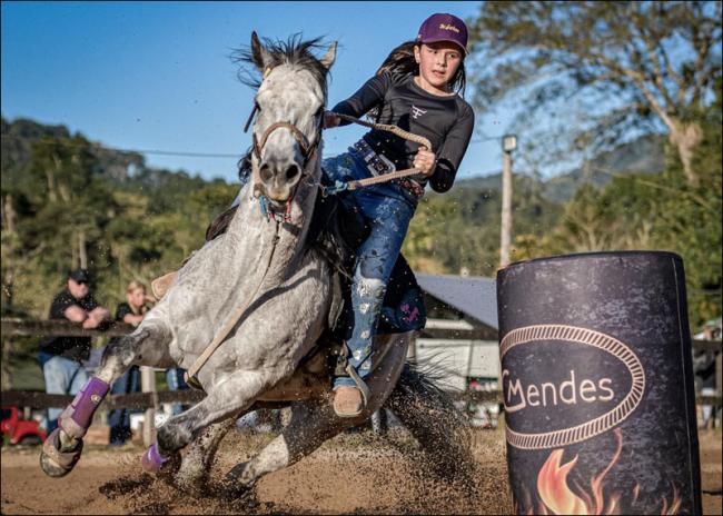 Fiesta Lider CMV quarto de milha fêmea a venda