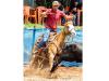 Bella Trouble Cielo Quarto de Milha à venda no site N1 Cavalos em 50 parcelas