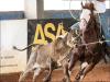 Gunner Starlight cavalo quarto de milha a venda no N1Cavalos