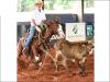 Gunner Starlight cavalo quarto de milha a venda no N1Cavalos